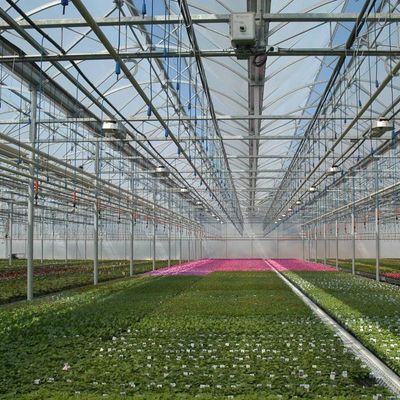 0.15/0.20mm Po/PE Filmbedekte Multi Span Kas Voorlopige verwarming
