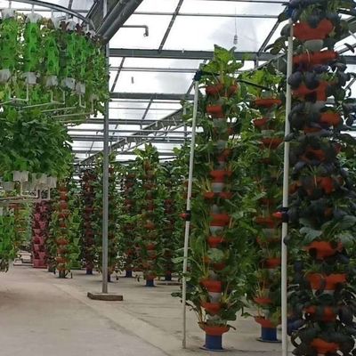 Geschikt voor de teelt van zaadplanten, budgetvriendelijk, met plastic plaat bedekte filmkas
