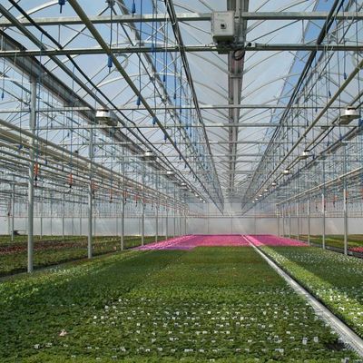 Ontwerp van een kas zonder bodemcultuurfilm voor groenten en tijdelijke verwarmingsmethode