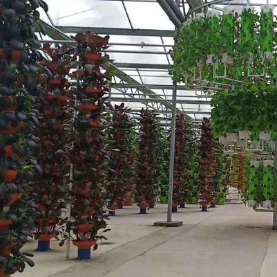 Economische afdeling Plastic kas met hydroponics en tijdelijke verwarming
