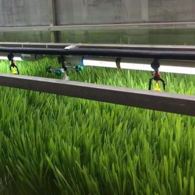 Innenhydroponie: commercieel microgroenkwekingssysteem met JX-container-kas