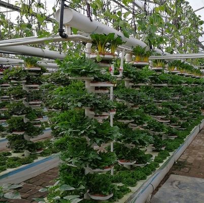 Multi-span kas voor temperatuurgecontroleerde hydroponie
