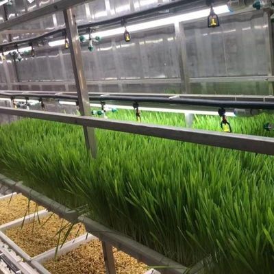 Hydroponische voeder en groenten Fruit bloemen oplossing voor kas in JX-container