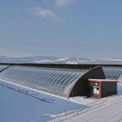 Boogdak Aquacultuur Groentefilm Zonlicht Kas voor Amerikaanse aardbeienbloem