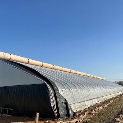 Boogdak Aquacultuur Groentefilm Zonlicht Kas voor Amerikaanse aardbeienbloem