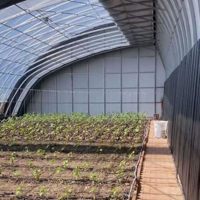 Boogdak Aquacultuur Groentefilm Zonlicht Kas voor Amerikaanse aardbeienbloem