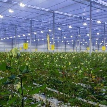 Verlichtingssysteem voor containerkasten Pakket Bruto gewicht 2000.000kg Valuta US