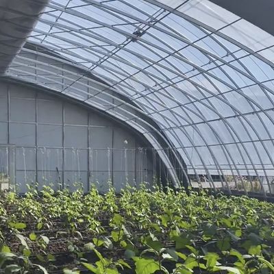 Aanpasbaar groentefilmhydroponics broeikasysteem voor efficiëntie in meerdere perioden