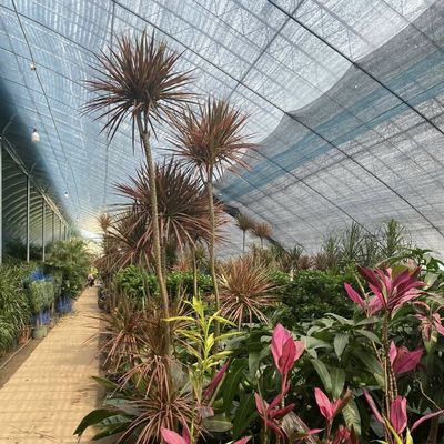 Aanpasbaar groentefilmhydroponics broeikasysteem voor efficiëntie in meerdere perioden