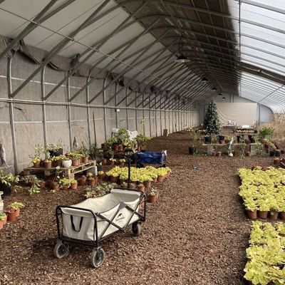 Staalstructuur Bloemplanting Druppelbewatersysteem met terugbetaling van 30 dagen