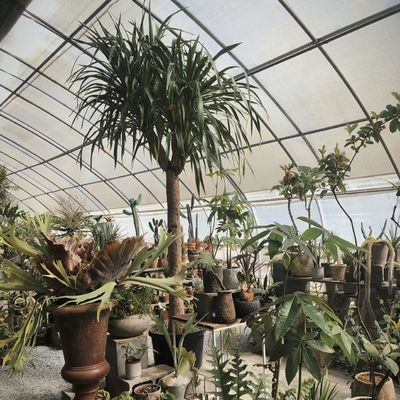 Staalstructuur Bloemplanting Druppelbewatersysteem met terugbetaling van 30 dagen