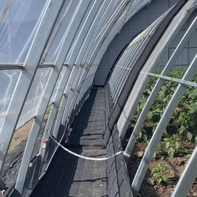 Staalstructuur Bloemplanting Druppelbewatersysteem met terugbetaling van 30 dagen