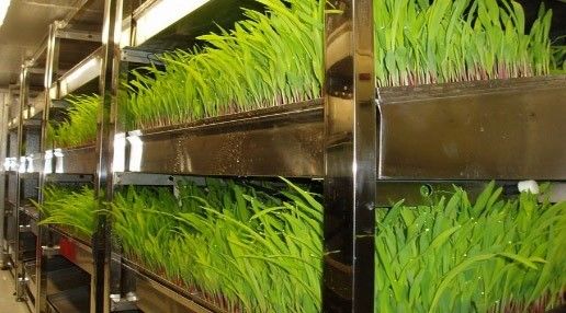 Containerhuis voor de teelt van bladgroenten