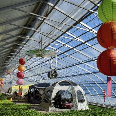 Groenhuis met gebogen dak voor zonlicht Aquacultuur Bloemplanting Groentenproductie