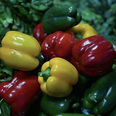 Groenten Zonnelicht Kas Hydroponics Sproei Irrigatie Aanpassing voor commerciële