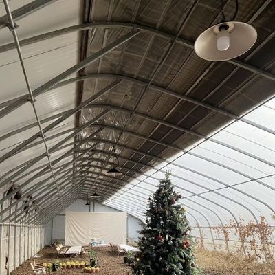 Groenten Zonnelicht Kas Hydroponics Sproei Irrigatie Aanpassing voor commerciële