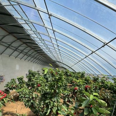 100.000kg Aanpassing Bloemen planten Druppelbewatering Groenten Zonnelicht Kas