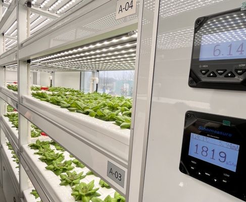 Hydroponische teeltmethode 40hq Reefer-container voor bladgroenten kas