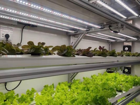 Hydroponische teeltmethode 40hq Reefer-container voor bladgroenten kas