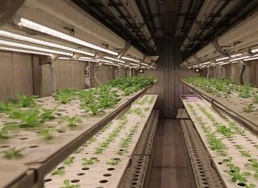 Intelligente temperatuurcontrole Juxiang bladgroentencontainer huis verwarmingsmethode