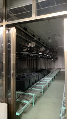 Intelligente temperatuurcontrole Juxiang bladgroentencontainer huis verwarmingsmethode