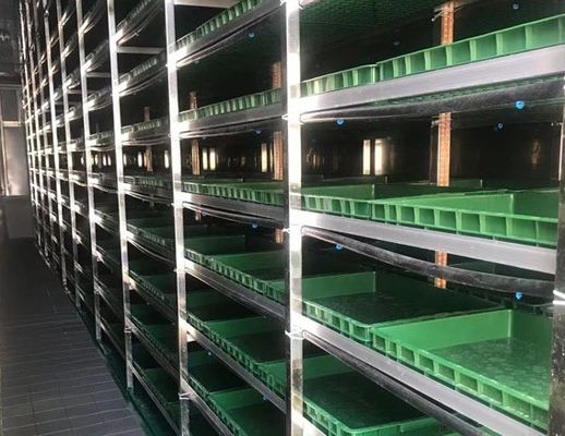 Intelligente temperatuurcontrole Juxiang bladgroentencontainer huis verwarmingsmethode