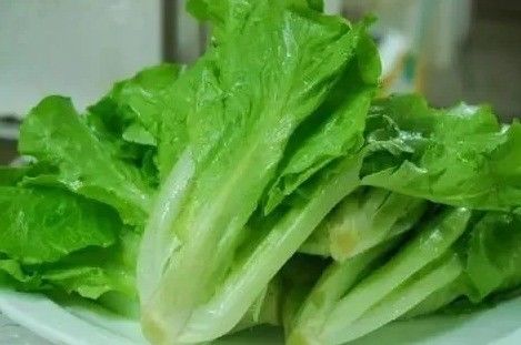 Containerhuis voor de teelt van bladgroenten Hydroponics Teelttechnologie