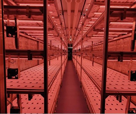 Containerhuis voor de teelt van bladgroenten Hydroponics Teelttechnologie