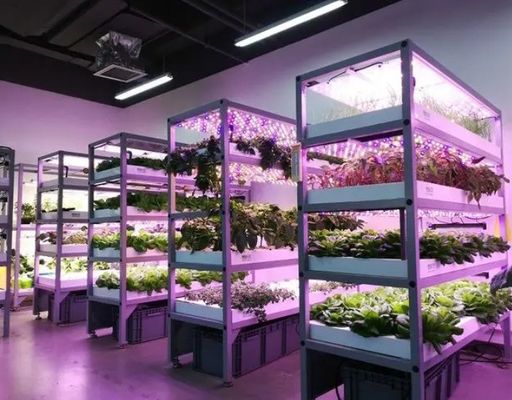 Draagbare container met bladgroenten van staal voor bouwmaterialen