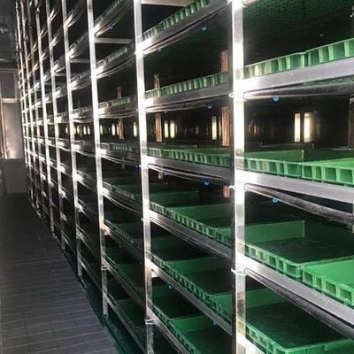 Multi-Span Container Serre JX-CG-12 voor bladgroenten binnen uw budget