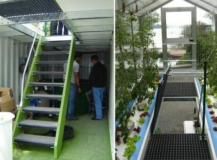 Amerikaanse munt Intelligente temperatuurcontrole dakplaat blad bladgroenten Containerhuis