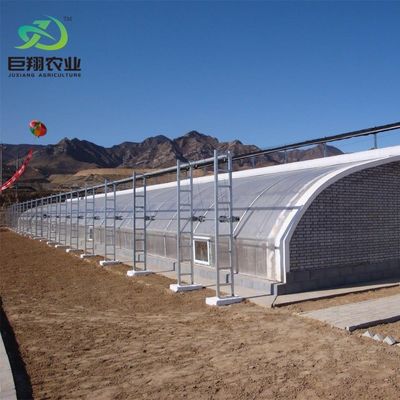 Maximaliseer je oogst met deze Grote Hydroponics Groente Zonnehuis