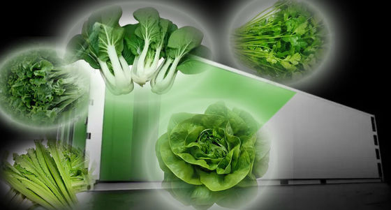 Juxiang 40hq Reefer Container Greenhouse Verzendkosten en geschatte levertijd