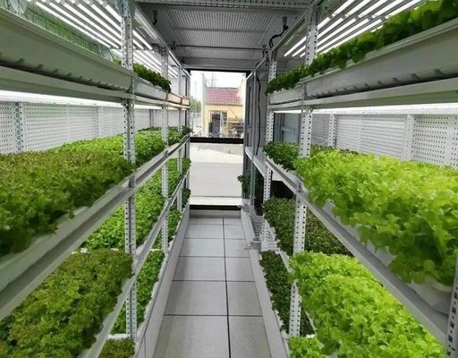 Containerlandbouwverlichtingssysteem met geschatte levertijd en lage verzendkosten