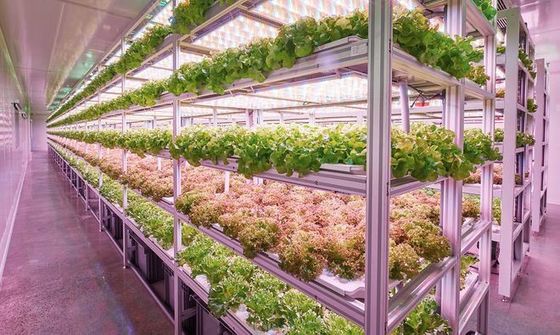 Containerlandbouwverlichtingssysteem met geschatte levertijd en lage verzendkosten