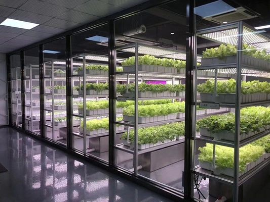 Containerlandbouwverlichtingssysteem met geschatte levertijd en lage verzendkosten