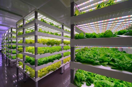Containerlandbouwverlichtingssysteem met geschatte levertijd en lage verzendkosten