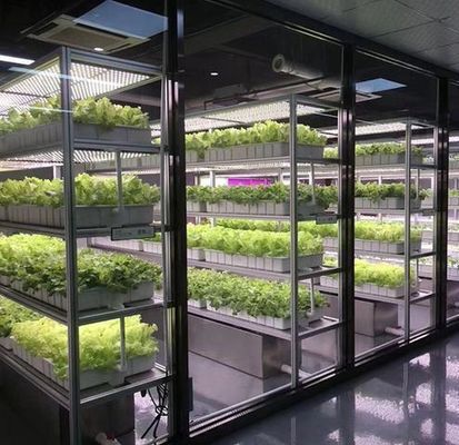 US 9.99/stuk JX-H0032 Verticale hydroponische scheepvaartcontainer kas voor groenten