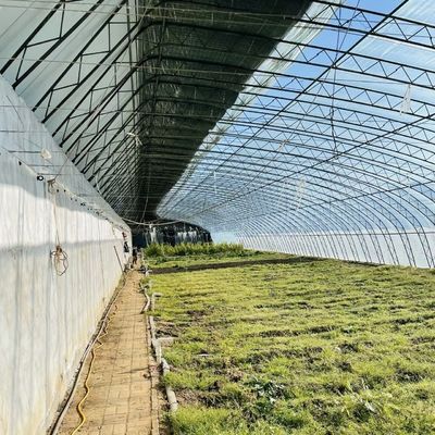 Pakket Brutogewicht 100.000kg JX-A00215 Hydroponie Bloemenplant Groentenproductie