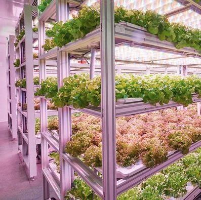 US 9.99/stuk JX-H0032 Verticale hydroponische scheepvaartcontainer kas voor groenten