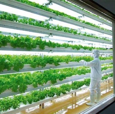 US 9.99/stuk JX-H0032 Verticale hydroponische scheepvaartcontainer kas voor groenten
