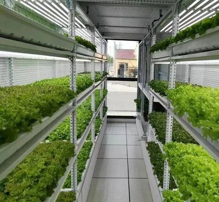 US 9.99/stuk JX-H0032 Verticale hydroponische scheepvaartcontainer kas voor groenten