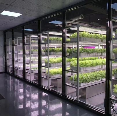 Afdeling scheepvaartcontainer kas LED-verlichtingsoplossing voor groentenplant