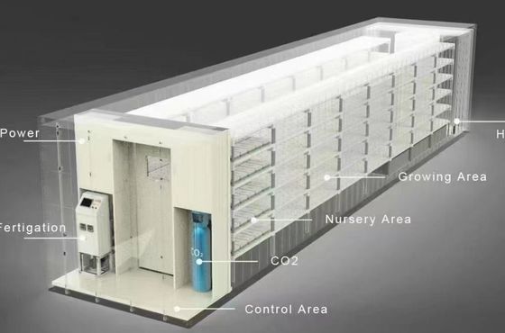 Afdeling scheepvaartcontainer kas LED-verlichtingsoplossing voor groentenplant
