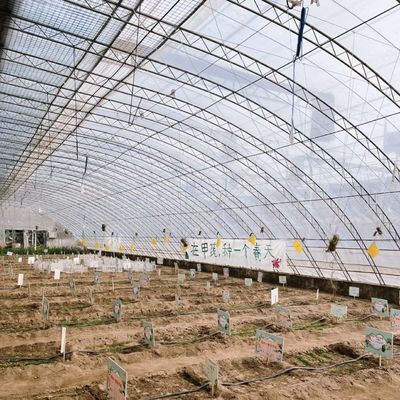 Bloemen planten Zonne- en zonne-scherm kas met staalstructuur