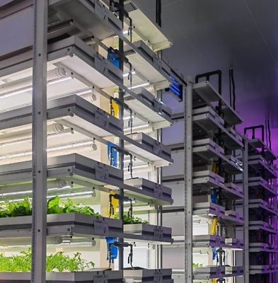 Groentehuis hydroponisch verticaal landbouwcontainersysteem in 40ft container 40HQ Reefer