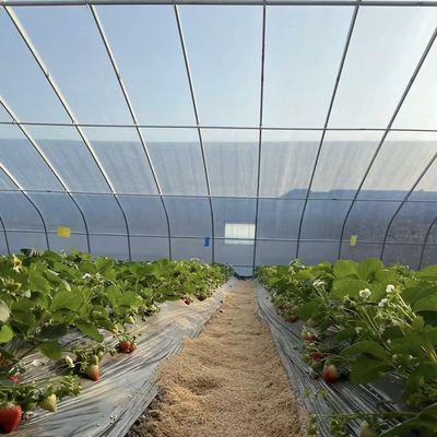 Bloemen planten Zonne- en zonne-scherm kas met staalstructuur