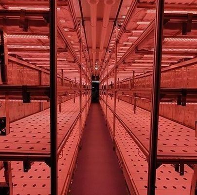 Staalbedekkingsmateriaal Hydroponisch verticaal landbouwcontainersysteem voor gevormd dak