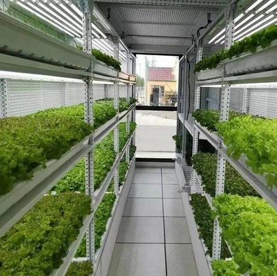 Staalbedekkingsmateriaal Hydroponisch verticaal landbouwcontainersysteem voor gevormd dak