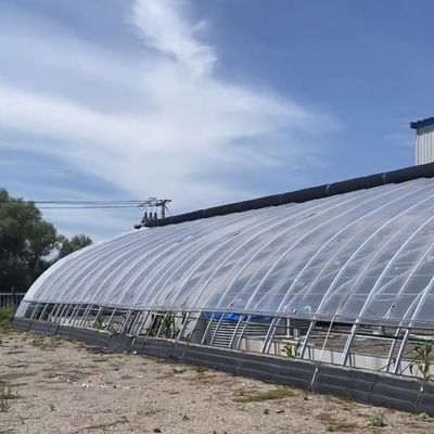 Boogdekselsystemen in zonnige kassen met staalstructuur